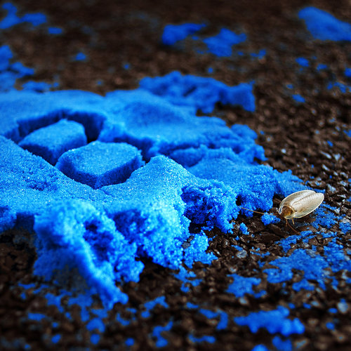 Sebb Bash 🇨🇭 – Fluorescent Mud (Instrumentals)